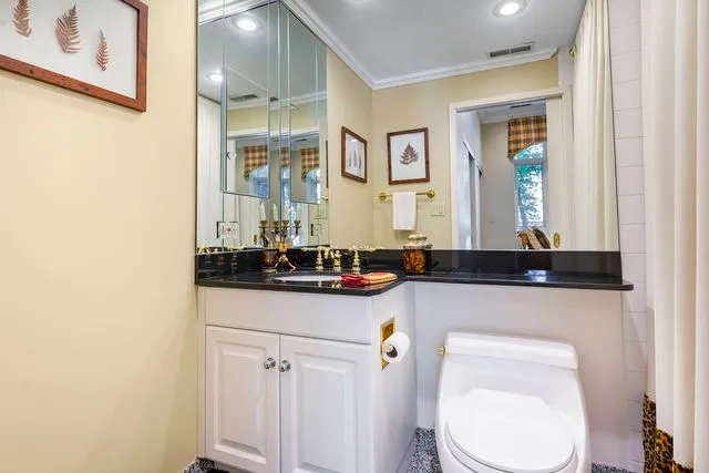 a bathroom with a toilet sink and mirror