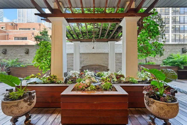 a view of a potted plants in front of a house