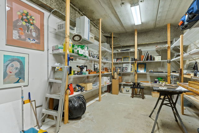 45 East Cedar Street, Unit 200 Chicago, IL 60611 - Photo 33 of 35 a view of storage and utility room