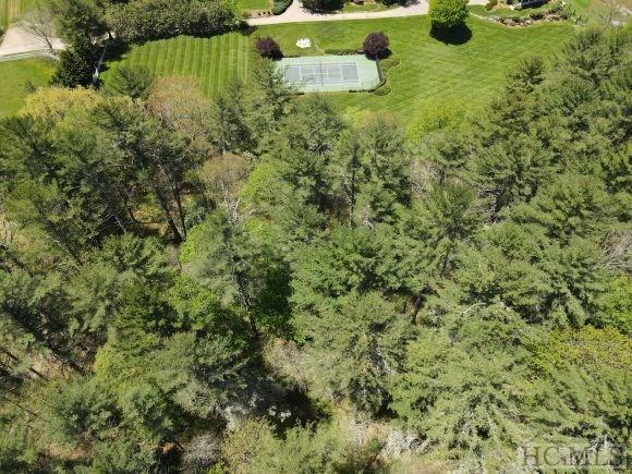 Tr C Trillium Ridge Road Cashiers, NC 28717 - Photo 16 of 16 Gallery Image 16