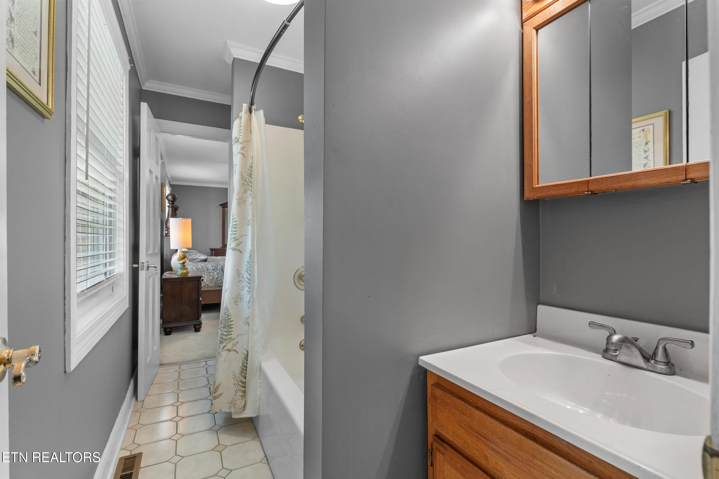 212 Simmons Road Seymour, TN 37865 - Photo 33 of 59 Bathroom 3 - Jack and Jill