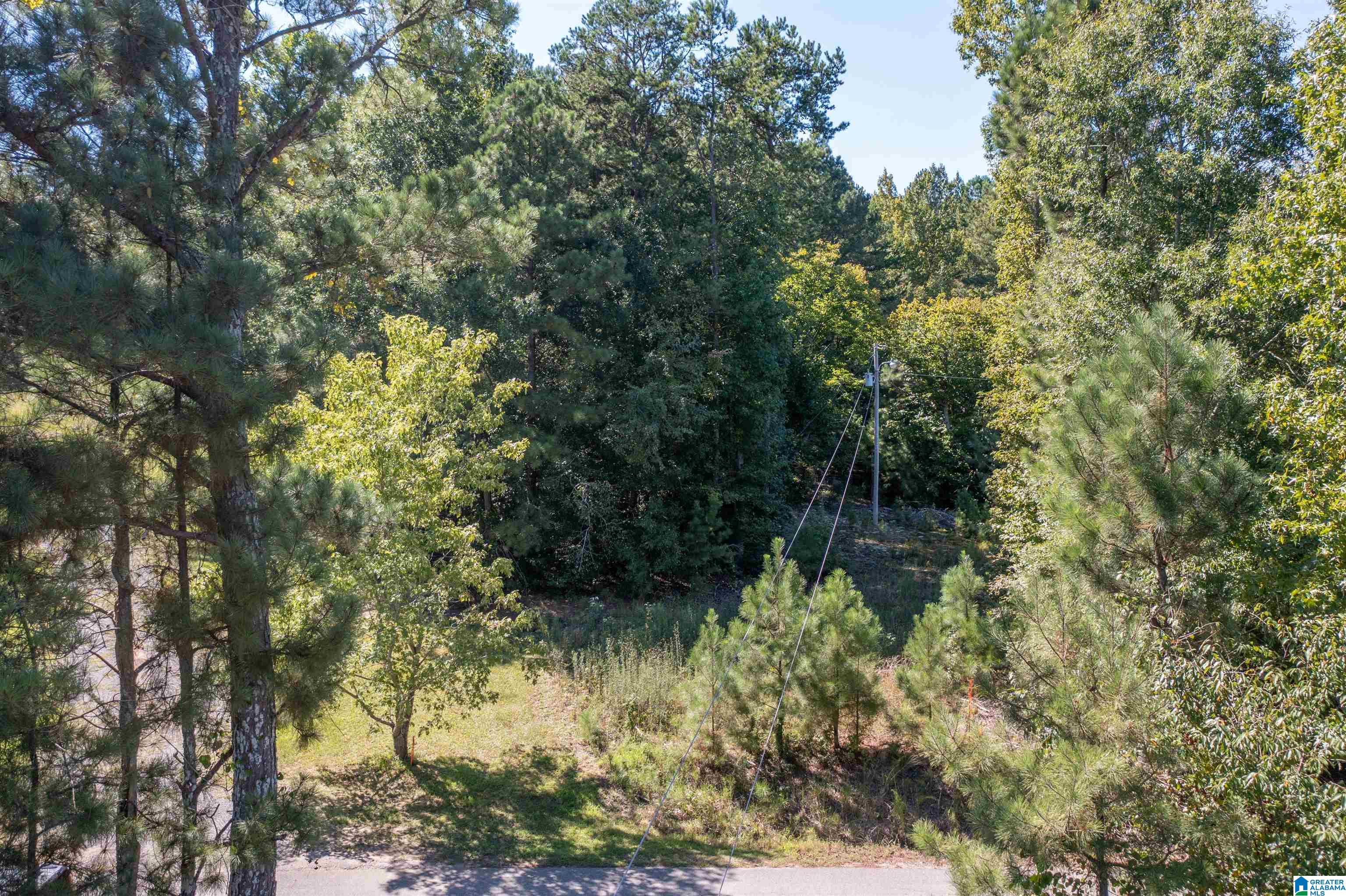 0 Dripping Rock Road Jacksonville, AL 36265 - Photo 12 of 14