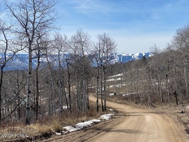 2604 South Forest Meadow Road Coalville, UT 84017 - Photo 20 of 28
