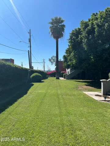 a view of a garden with a slide