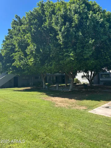 a view of a garden with lawn chairs