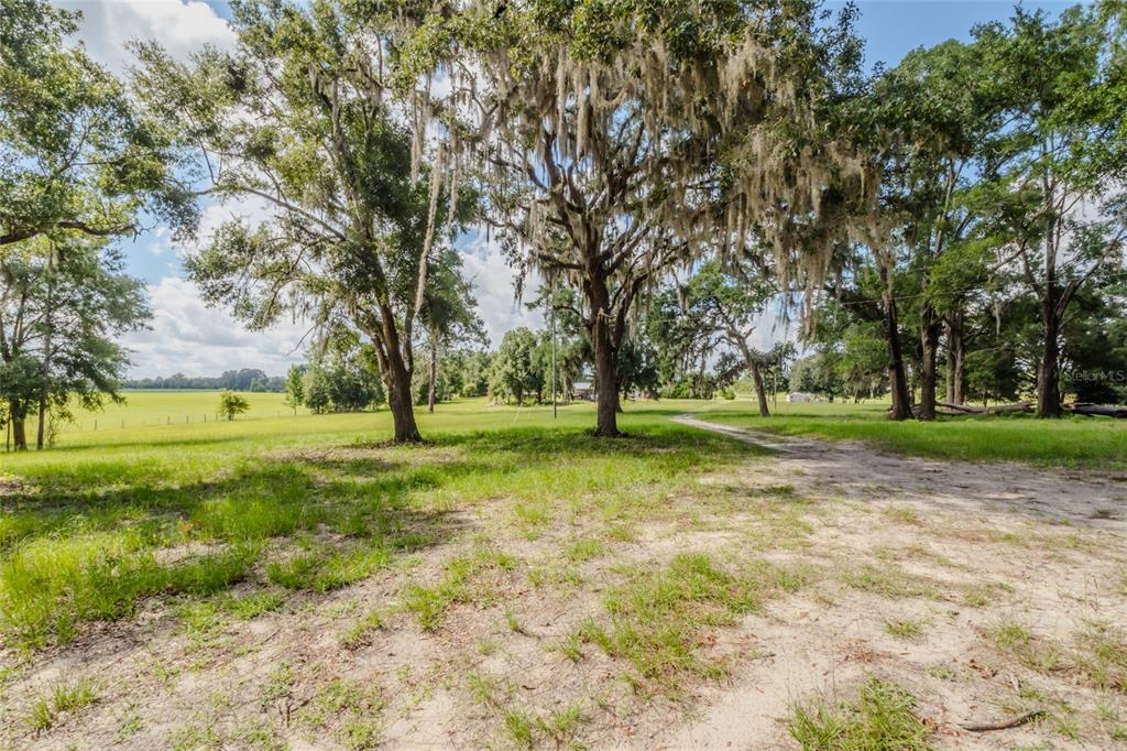 Tbd Southwest Jordan Street Fort White, FL 32038 - Photo 1 of 4 a view of a tree in a park