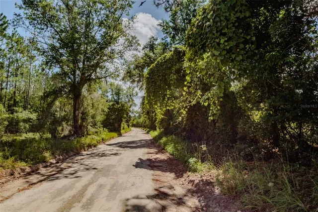 a view of outdoor space and yard
