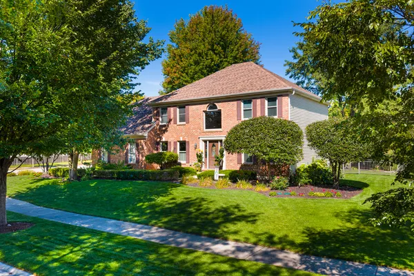 a view of a yard in front of a house with plants and large trees