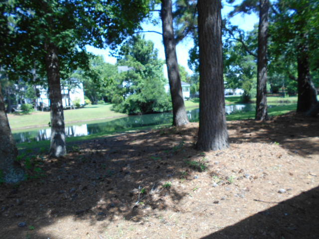 DSCN0886