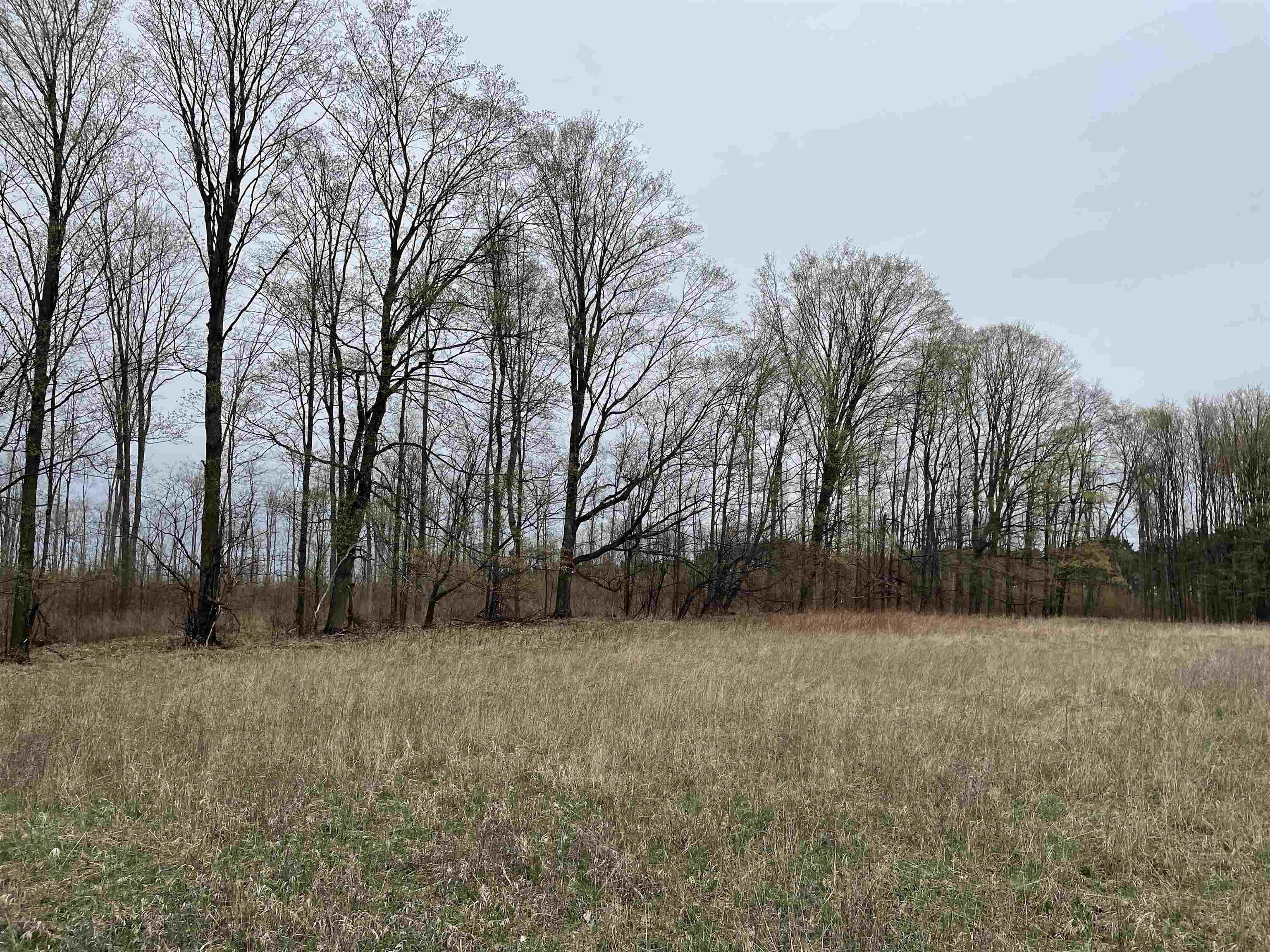K Summit City Road, Unit LOT: K Kingsley, MI 49649 - Photo 5 of 40