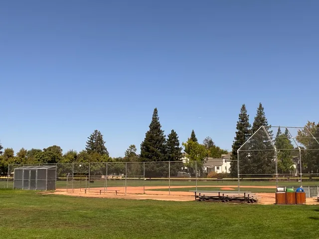 a view of a swimming pool with a yard