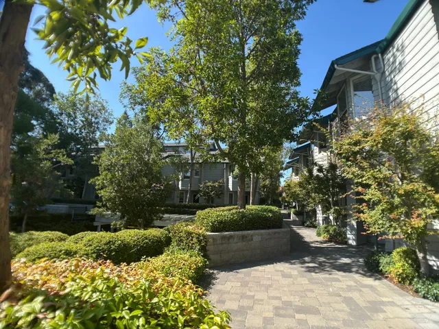 a view of a backyard with potted plants and large trees