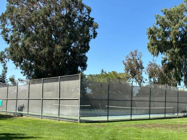 a view of a backyard