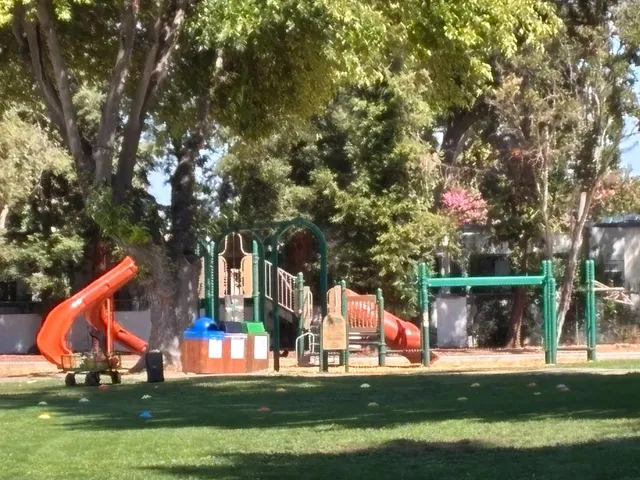 a view of a park with large trees