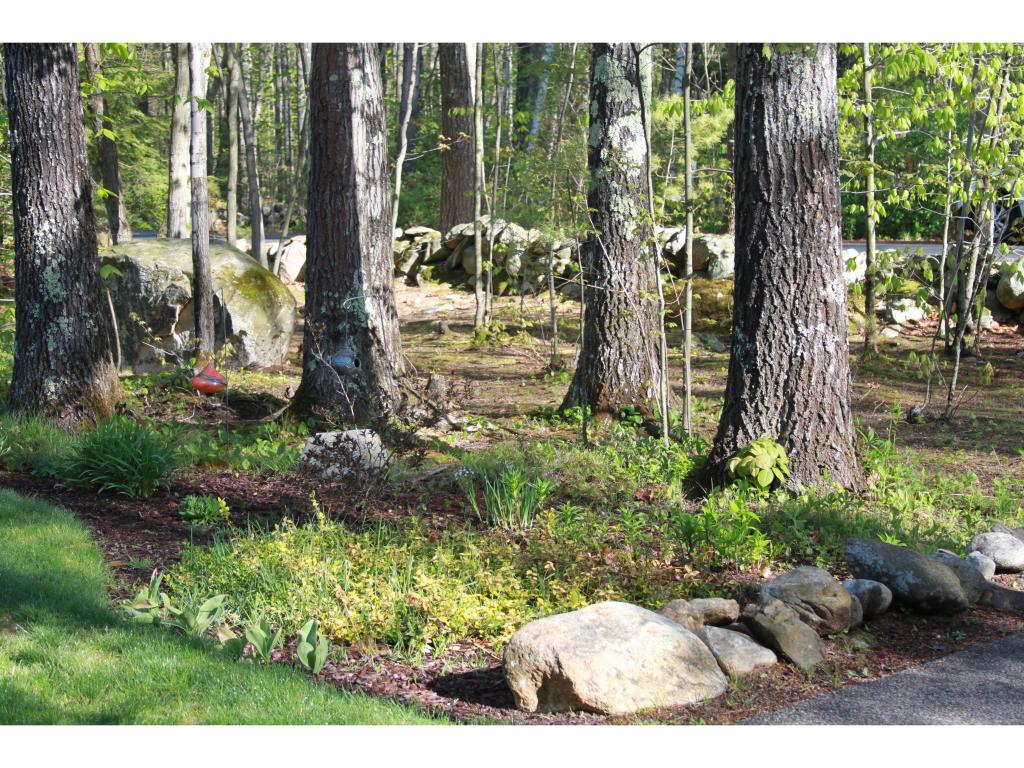 9 Birch Road Chester, NH 03036 - Photo 17 of 17