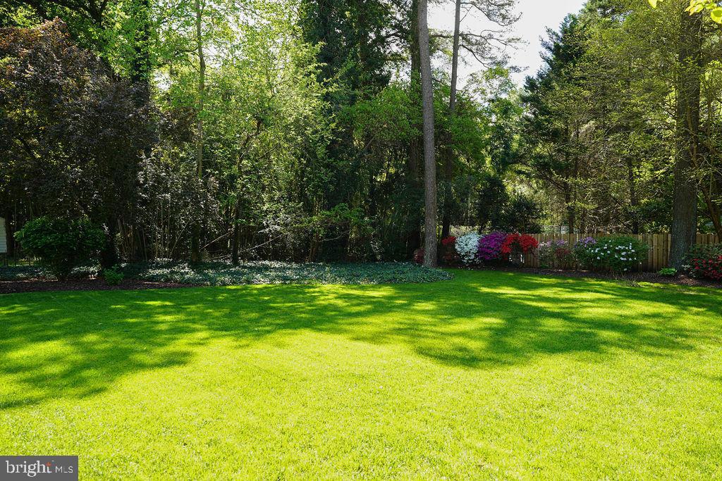 412 Pine Bluff Road Salisbury, MD 21801 - Photo 60 of 66 Gallery Image 60