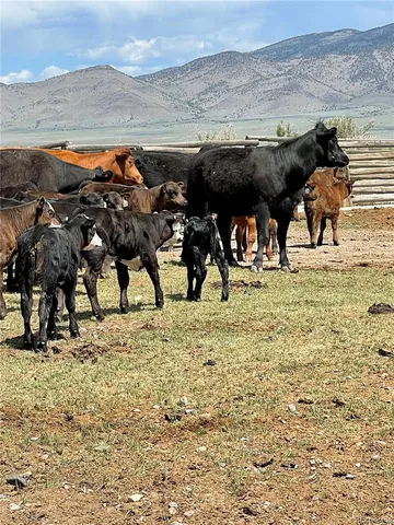 $1,750,000 | 51273 Cr X Saguache Co 81149, Saguache, CO 81149