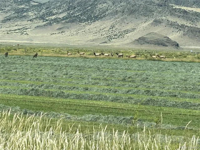 $1,750,000 | 51273 Cr X Saguache Co 81149, Saguache, CO 81149