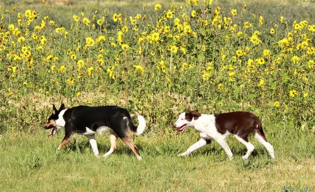 $1,750,000 | 51273 Cr X Saguache Co 81149, Saguache, CO 81149