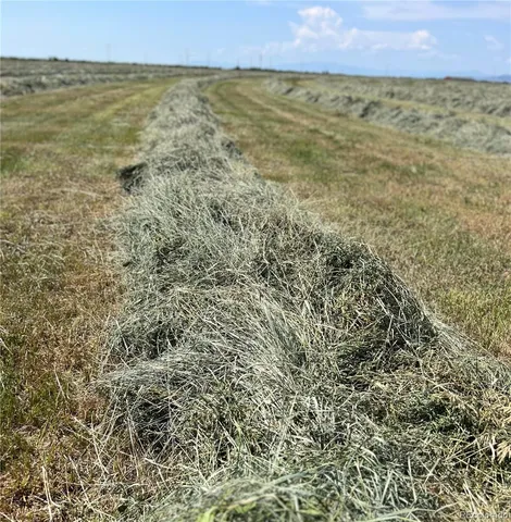 $1,750,000 | 51273 Cr X Saguache Co 81149, Saguache, CO 81149