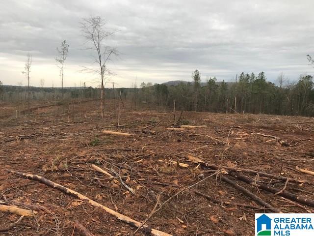 Griffitt Bend Road, Unit 93 Talladega, AL 35160 - Photo 2 of 7