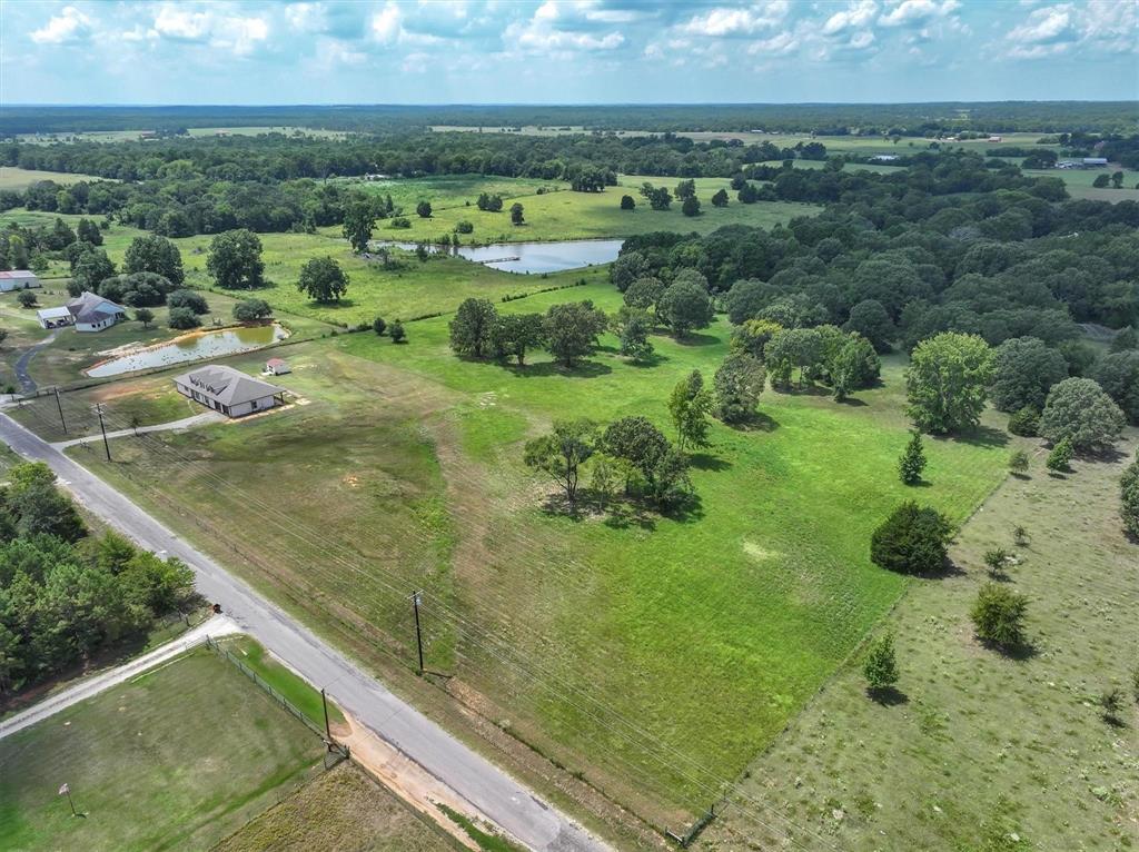 Lot 1 VZ County Road Ben Wheeler, TX 75754 - Photo 1 of 1