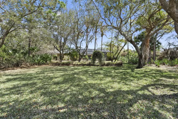 a view of a livingroom with furniture window and outside view