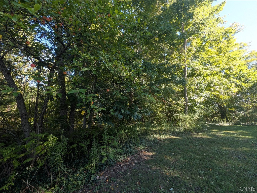 13 East Nys Route Blossvale, NY 13308 - Photo 11 of 13 Gallery Image 11