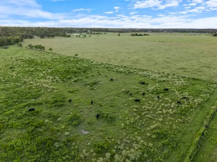 $3,500,000 | 15610 Penick Road, Waller, TX 77484