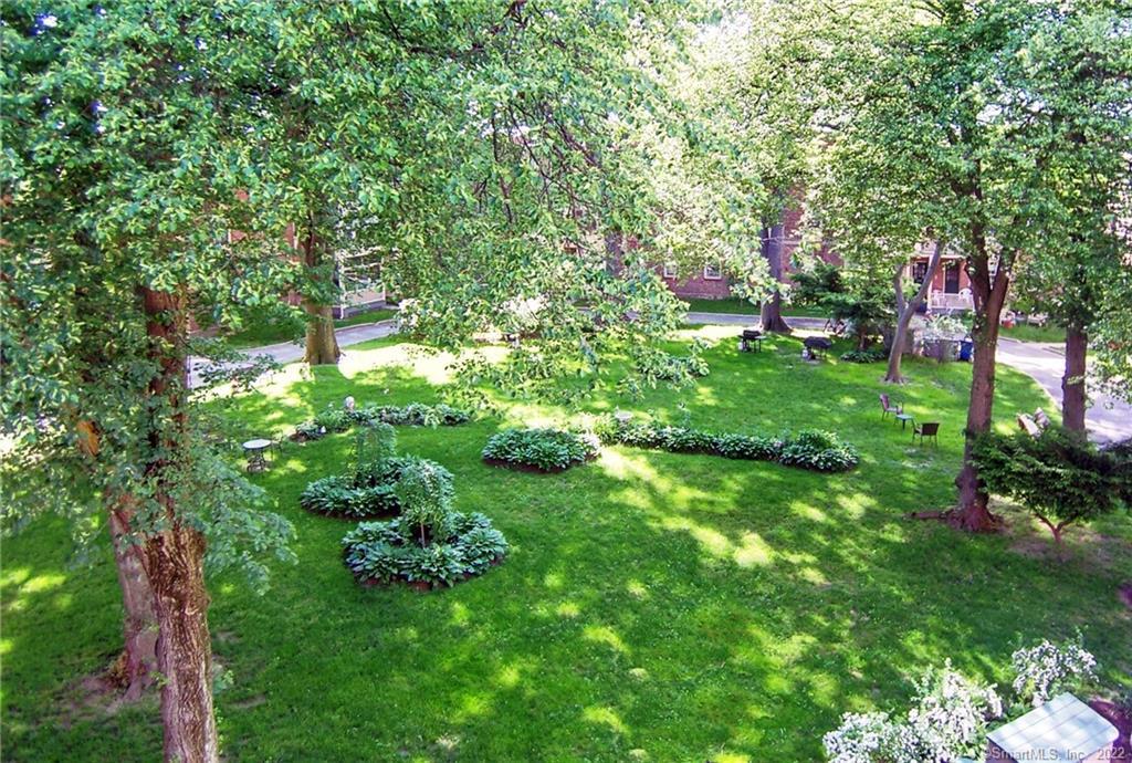 37 Rowsley Street, Unit 6 Bridgeport, CT 06605 - Photo 12 of 17 a view of yard with green space