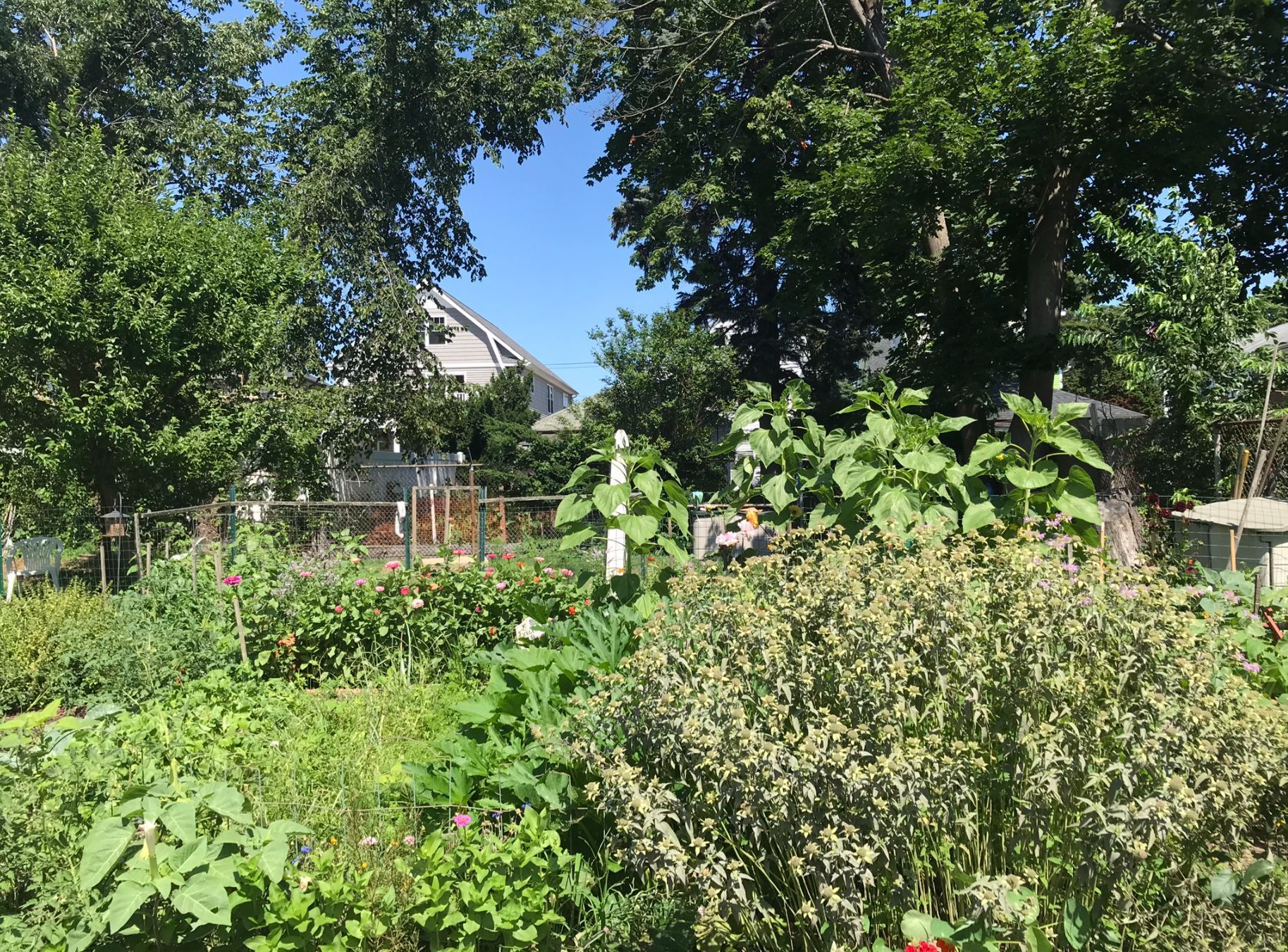 37 Rowsley Street, Unit 6 Bridgeport, CT 06605 - Photo 17 of 17 a view of a garden with a lake