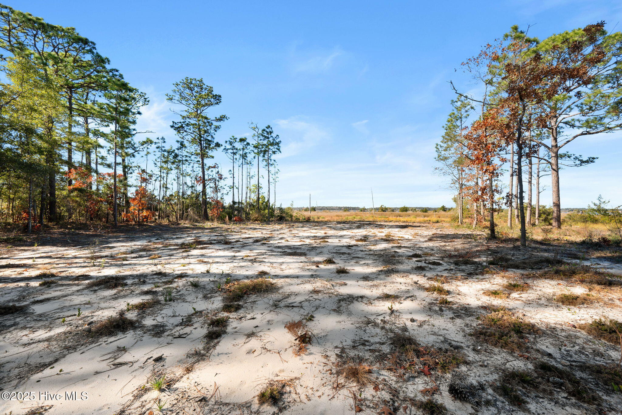 8120 River Road Wilmington, NC 28412 - Photo 7 of 11 11-web-or-mls-DSC_3152