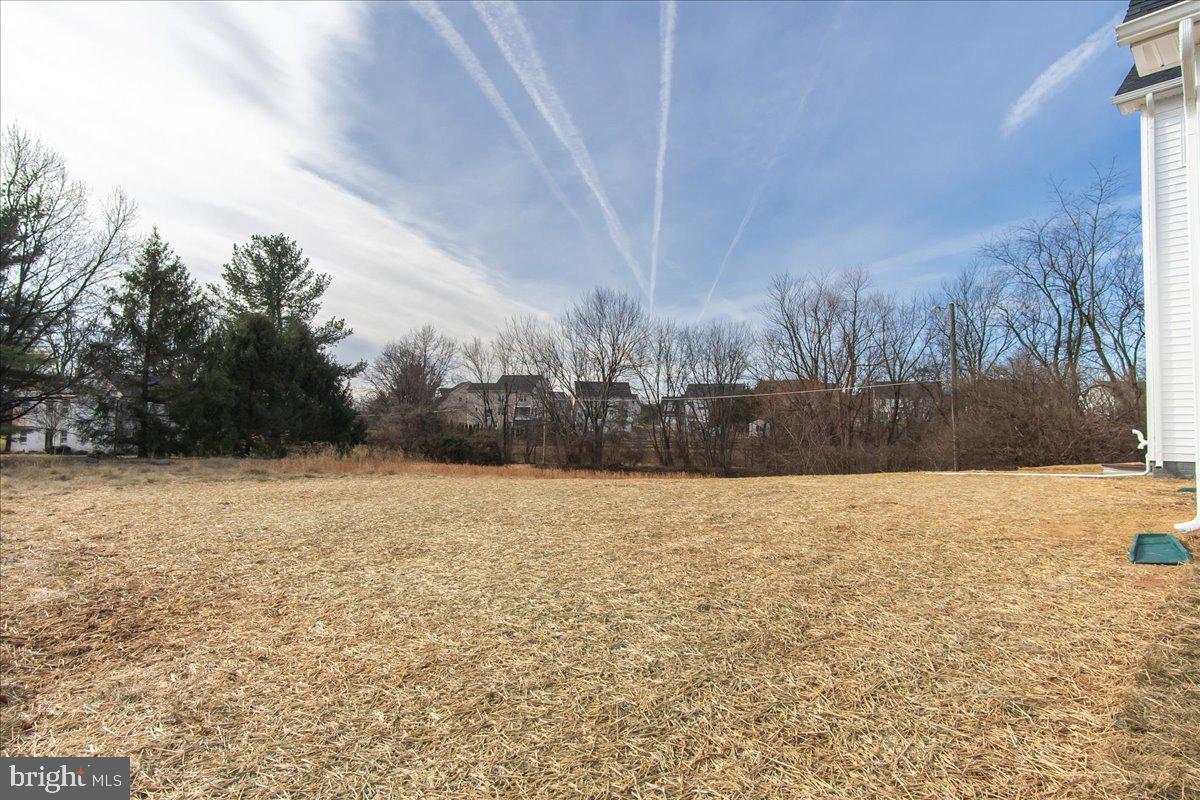 641 Swallowtail Drive Frederick, MD 21703 - Photo 45 of 52 a street view with large trees