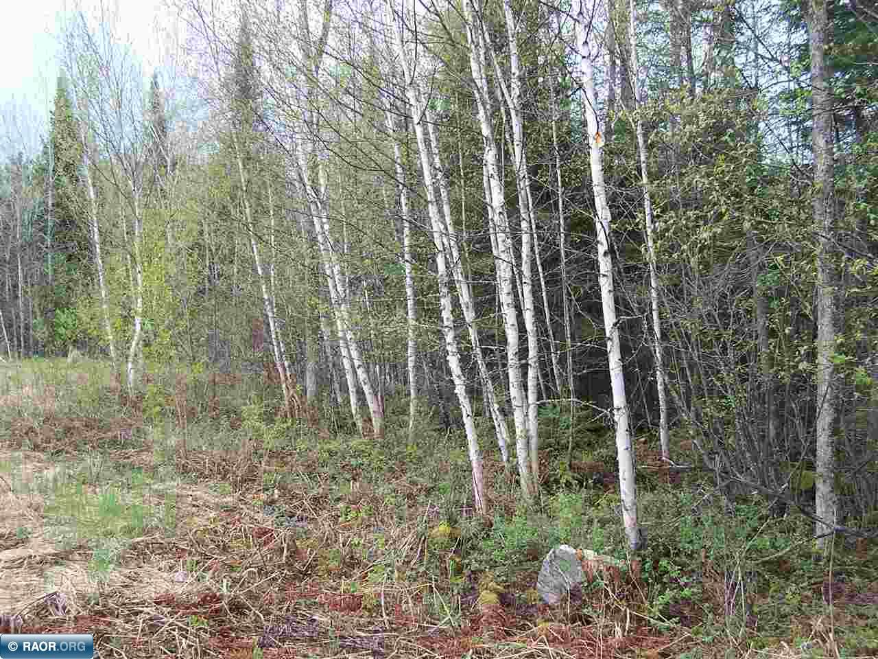 9674 Gappa Road Kabetogama, MN 56669 - Photo 19 of 21 Gallery Image 19