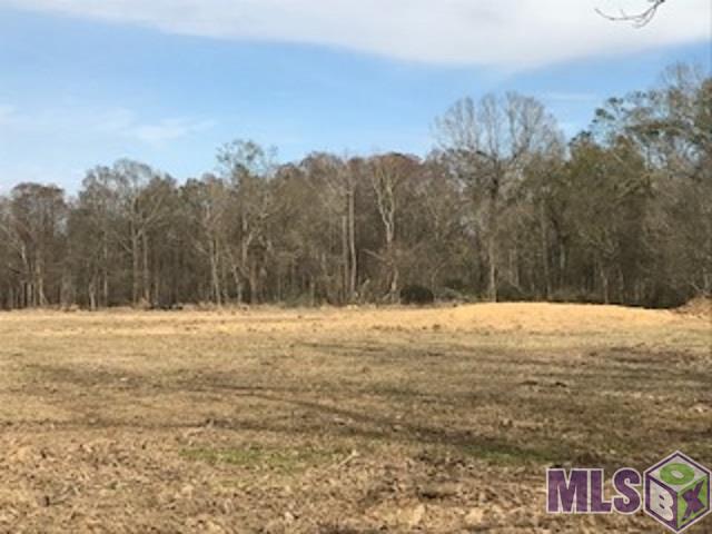 Tbd Lot 8 C Tbd Road Prairieville, LA 70769 - Photo 6 of 13 Gallery Image 6