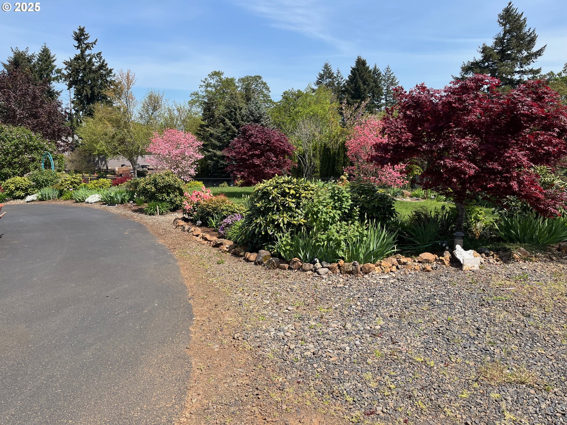 5465 Sams Place Southeast Turner, OR 97392 - Photo 39 of 46 a view of a garden with flowers and trees