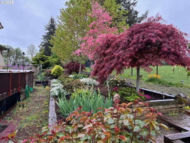 a backyard of a house with lots of green space