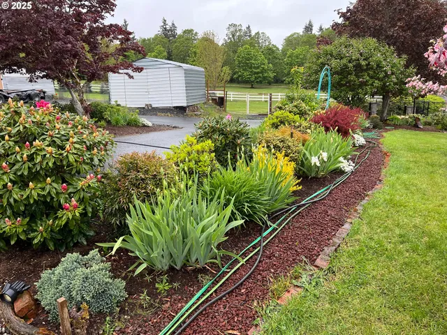 a picture of a yard with lots of green space