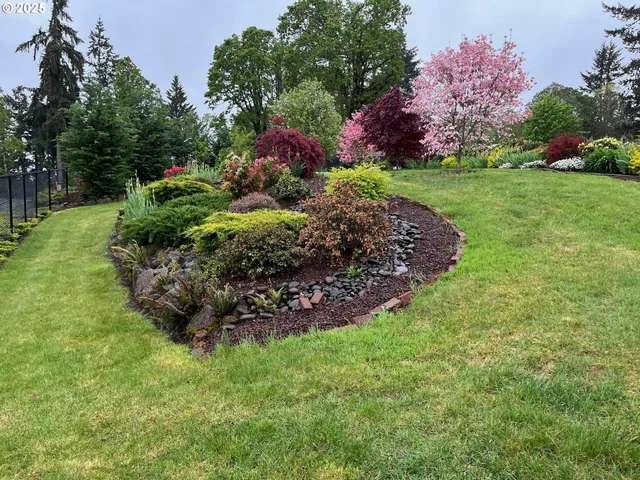 a garden covered with lots of green space