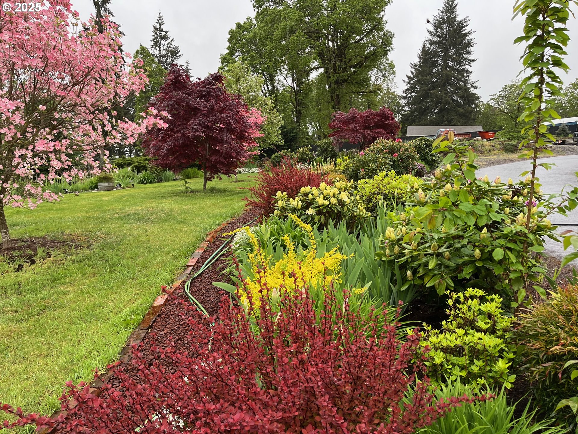 5465 Sams Place Southeast Turner, OR 97392 - Photo 44 of 46 a view of yard with green space