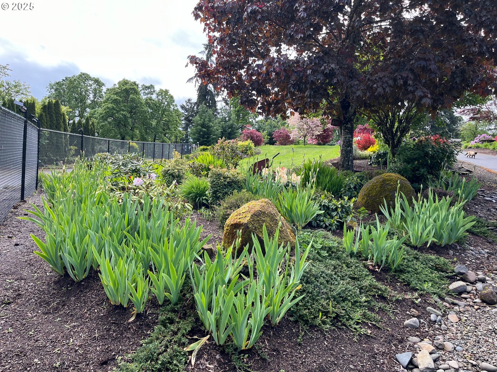 5465 Sams Place Southeast Turner, OR 97392 - Photo 45 of 46 a backyard of a house with lots of green space