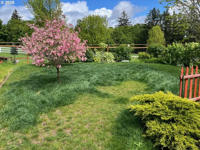a green field with lots of flowers in it