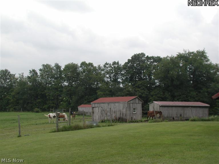 201 Spring Road Minerva, OH 44657 - Photo 16 of 21 Gallery Image 16