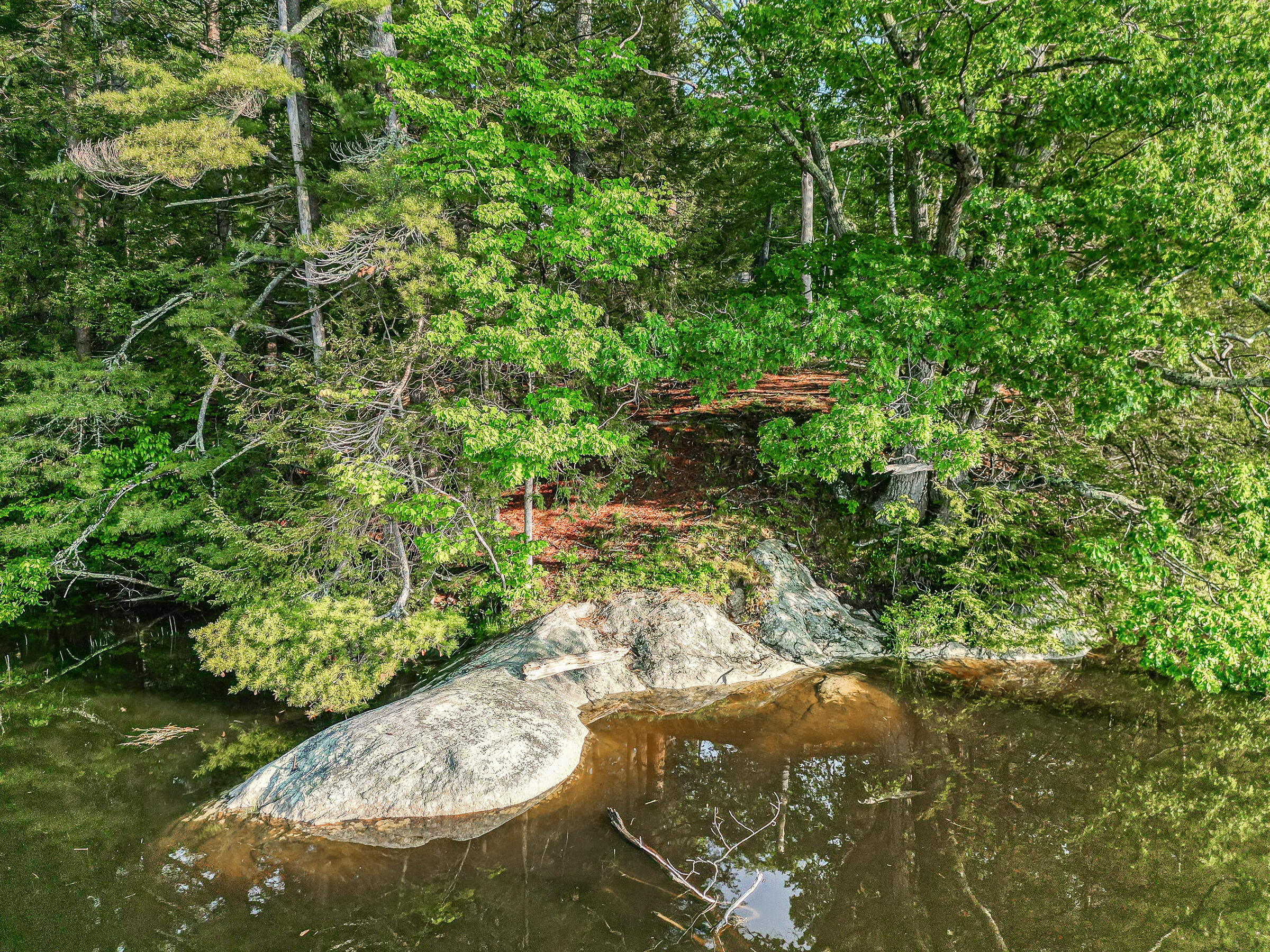 37 West Chops Point Road Bath, ME 04530 - Photo 54 of 65 109164ae-101
