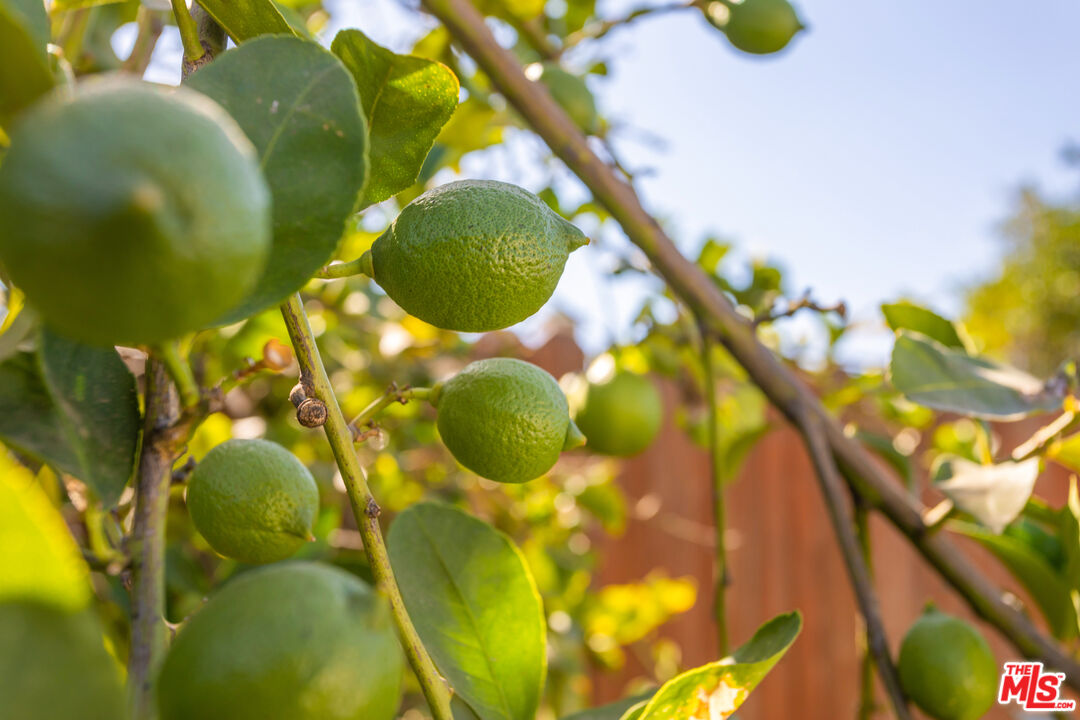 926 Barbra Lane Redlands, CA 92374 - Photo 18 of 23