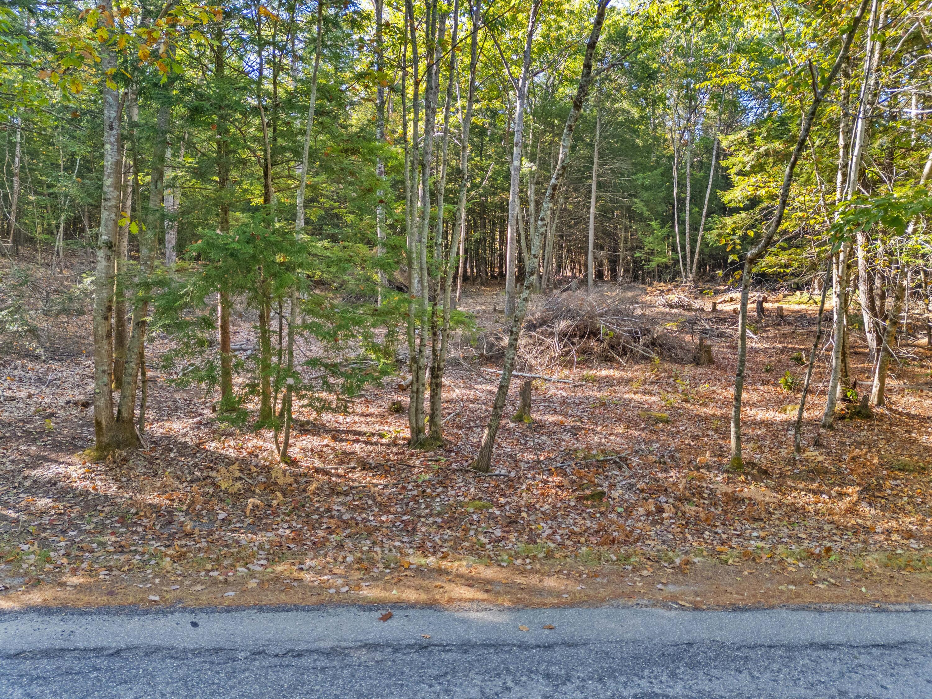M7-l21 Beedle Road Richmond, ME 04357 - Photo 8 of 13 Map 7, Lot 21 - Richmond, ME (8)