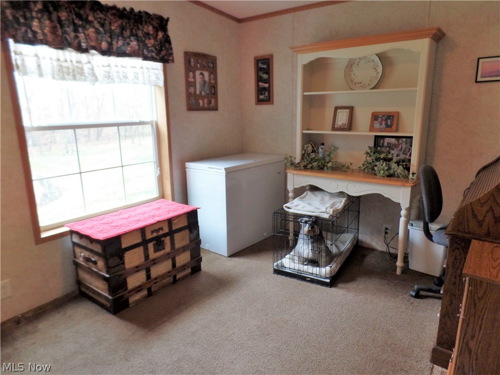 5875 McCune Road McConnelsville, OH 43756 - Photo 14 of 35 Gallery Image 14