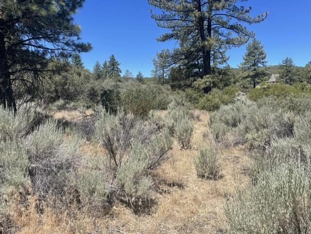 0 Devils Ladder Road Mountain Center, CA 92561 - Photo 5 of 10 Rothe lot.5