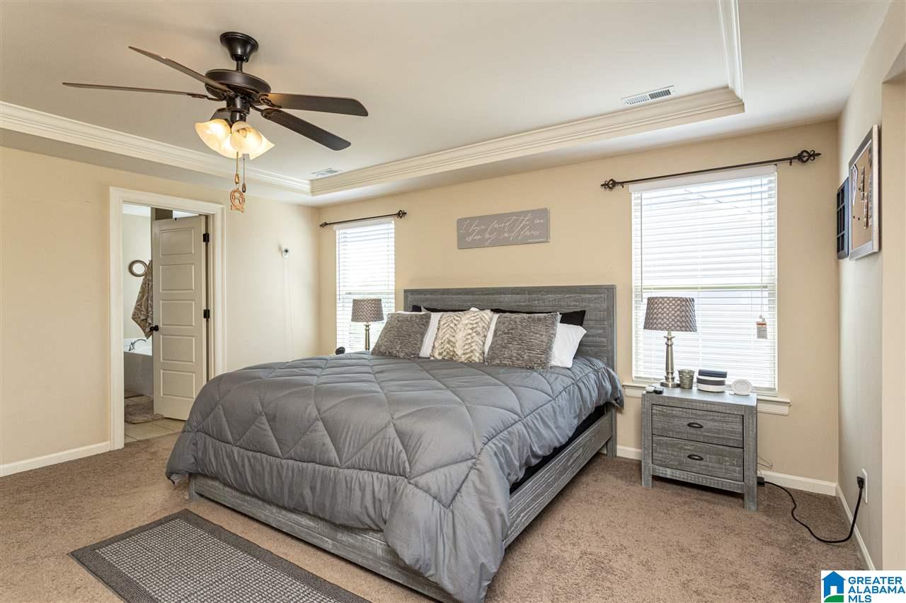 358 Blackberry Boulevard Springville, AL 35146 - Photo 23 of 50