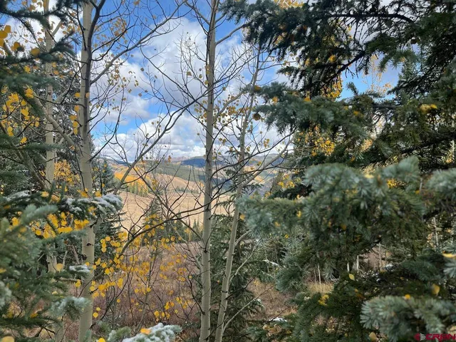 a backyard of a house with lots of trees